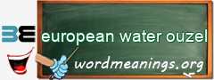 WordMeaning blackboard for european water ouzel